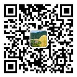 手机购彩大厅登录入口
